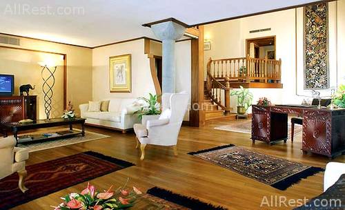 Royal Palm 8
